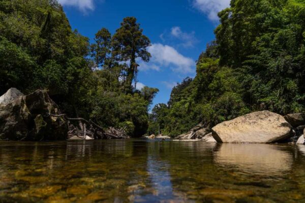 Pororari River Track