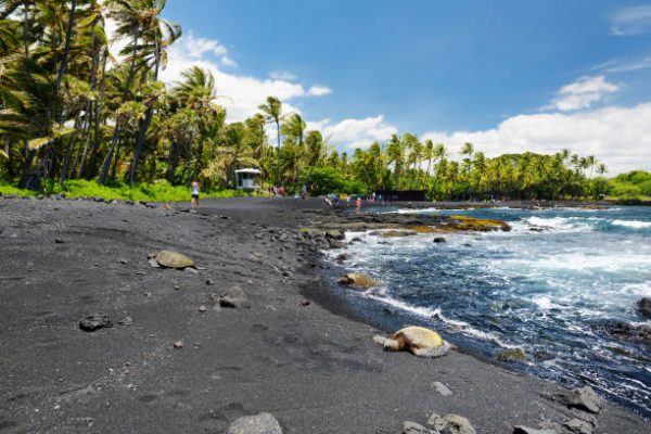 Punalu’u Black Sand Beach